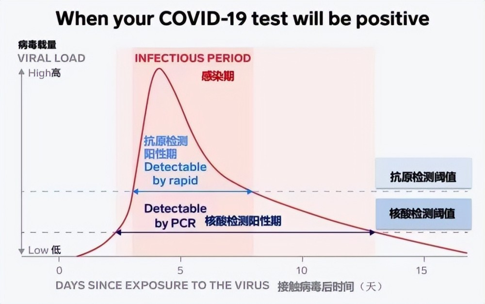 新冠陽了后，抗原需要天天做嗎？一看你就明白